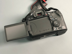 Canon 6D Mark II 4.500 кадров