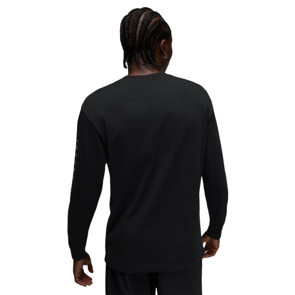 Баскетбольная мужская футболка Jordan Brooklyn AJ11 GFX