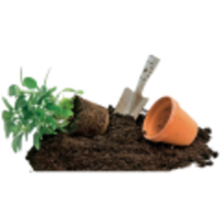 Грунты и друнаж