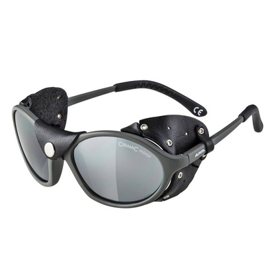 Очки ALPINA Sibiria Tin Matt-Black/Black Mirror кат. 4