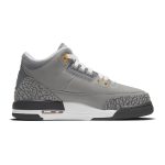 Кроссовки Air Jordan 3 Retro GS Cool Grey 2021