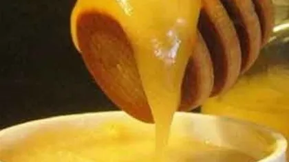 Донниковый мед