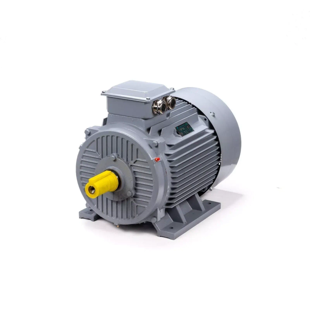 Электродвигатель ESQ PR 315 M6 GST-Б1-S32-IE2 132/1000 IM1001