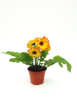 Гербера, диаметр 12