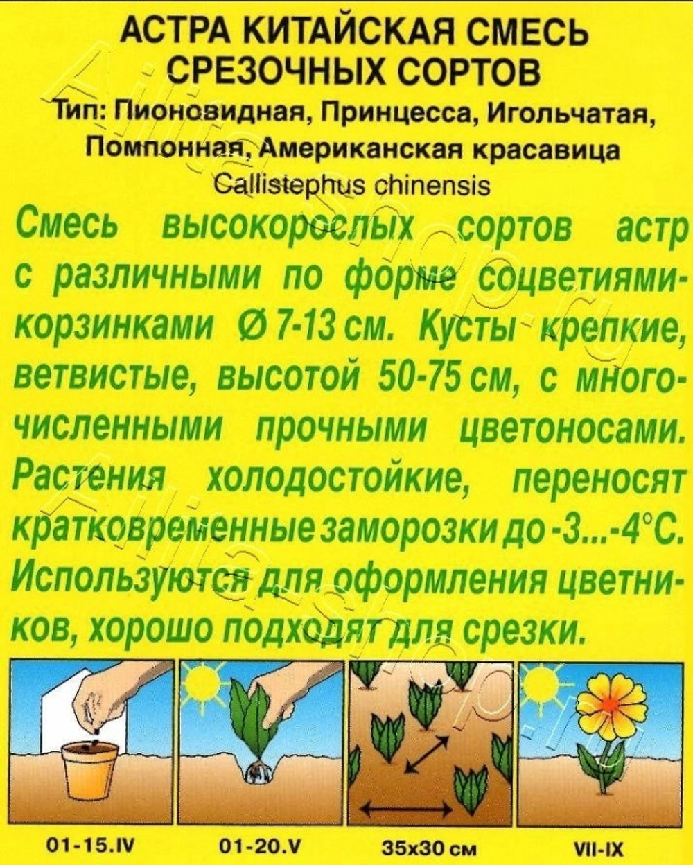 Цв. Астра Смесь Срезочных сортов 0,2г (Аэлита)