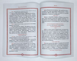 №248 Воскресные отеческие службы в предпразднство и попразднство Рождества Христова