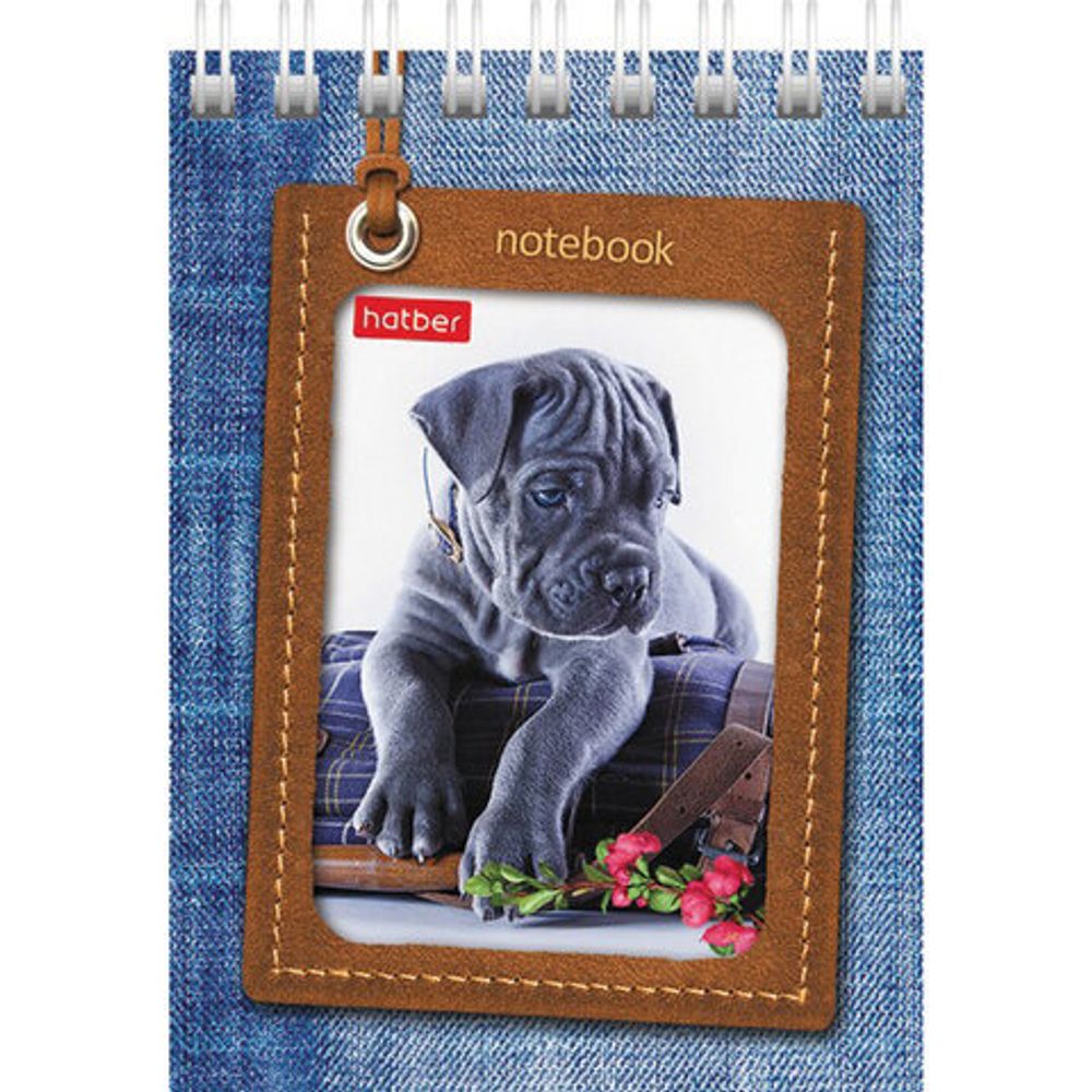 Блокнот МАЛЫЙ ФОРМАТ (75х105 мм) А7, 40 л., гребень, картон, клетка, HATBER, "Щенки", 40Б7В1гр