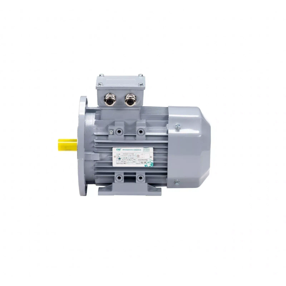 Электродвигатель ESQ PR 355 MA6-SDN-Б1-S12-IE3 160/1000 IMB35