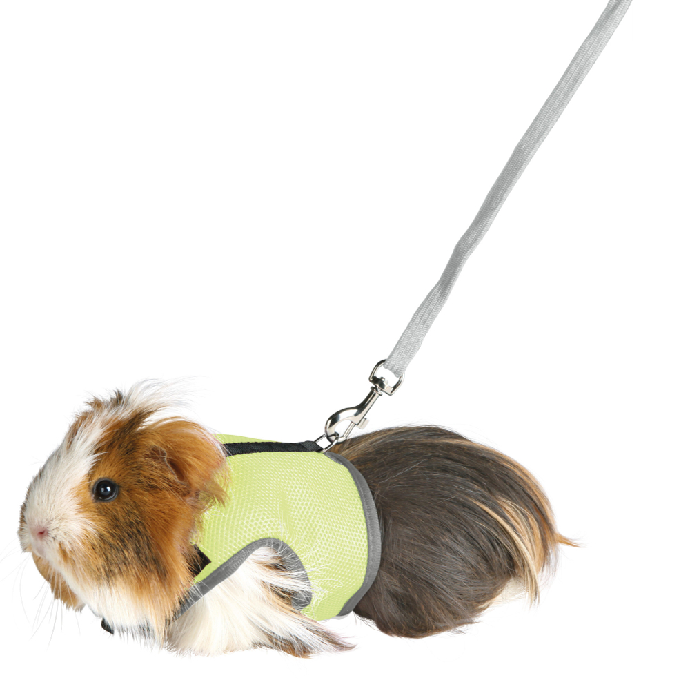 Шлейка для морских свинок Trixie Soft Harness M