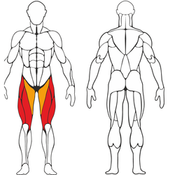 Разгибание ног сидя Черный