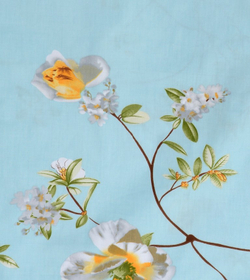 Постельное белье Valtery CL-191 сатин