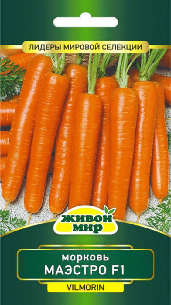 Морковь &quot;Maэcтpo F1&quot; 100шт, Франция.