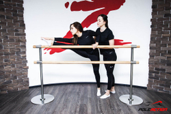 2-х уровневый мобильный (переносной) хореографический станок «Элегант» (нерж. сталь)