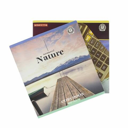 Общая тетрадь 96 листов