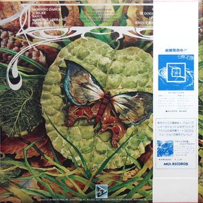 Spyro Gyra / Morning Dance (LP)