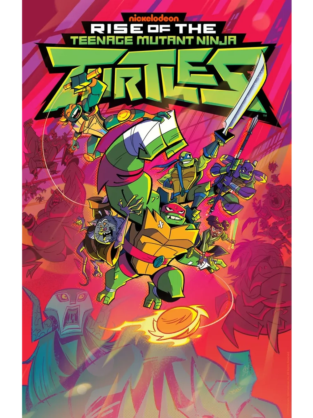 Эволюция Черепашек-ниндзя, 2 сезон (2018-2020) (4 DVD)