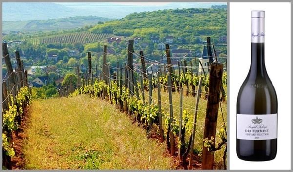 Вино недели с 7 августа - Dry Furmint Vineyard Selection