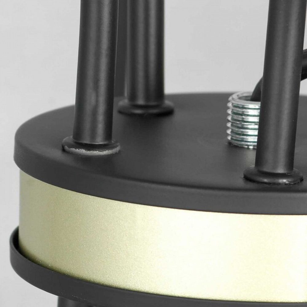 Подвесная люстра Lussole Roosevelt LSP-8198