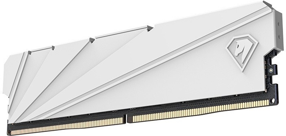 Модуль памяти DDR4 32GB (2*16GB) Netac NTSSD4P32DP-32W