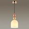 Подвесной светильник Lumion Suspentioni Gillian 4589/1A