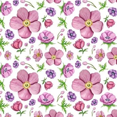 Акварельные анемоны. Розовые цветы. Весна