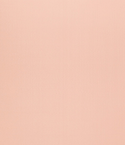 Рулонные шторы Лайт Пудра