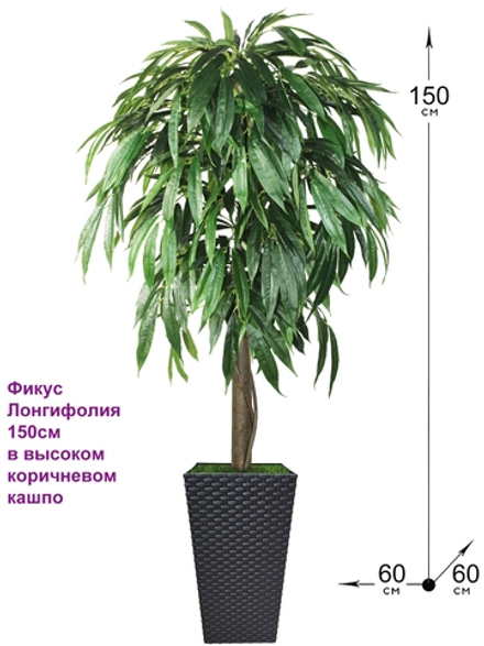 Искусственное дерево Фикус Лонгифолия 150см в высоком коричневом кашпо ротанг