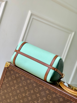Louis Vuitton Express PM