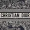 Женская сумка Dior Book Tote синий
