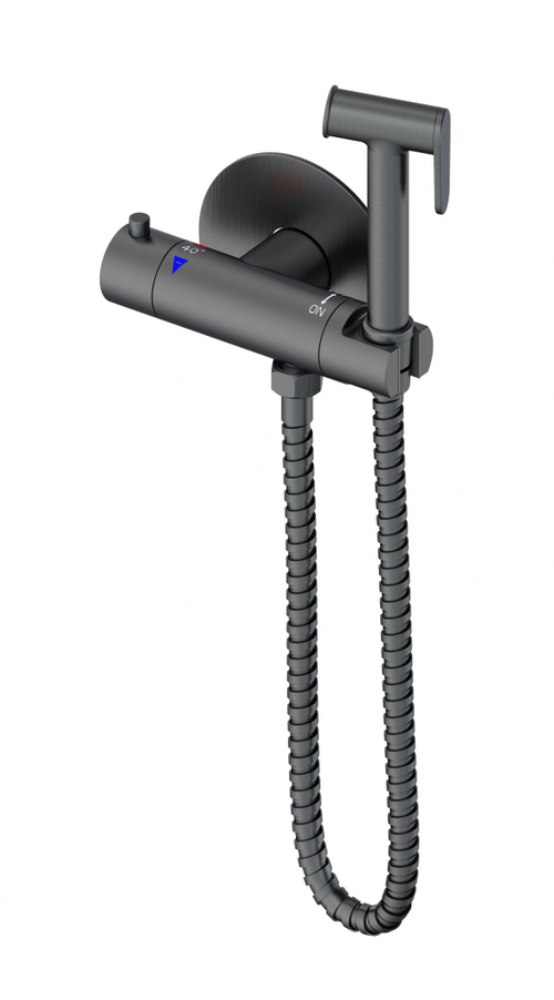 Смеситель с гигиеническим душем и термостатом встраиваемый WONZON & WOGHAND, Темный графит (WW-88819902-BGM)