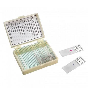 Набор препаратов "Ботаника" (16 обр. для школы)