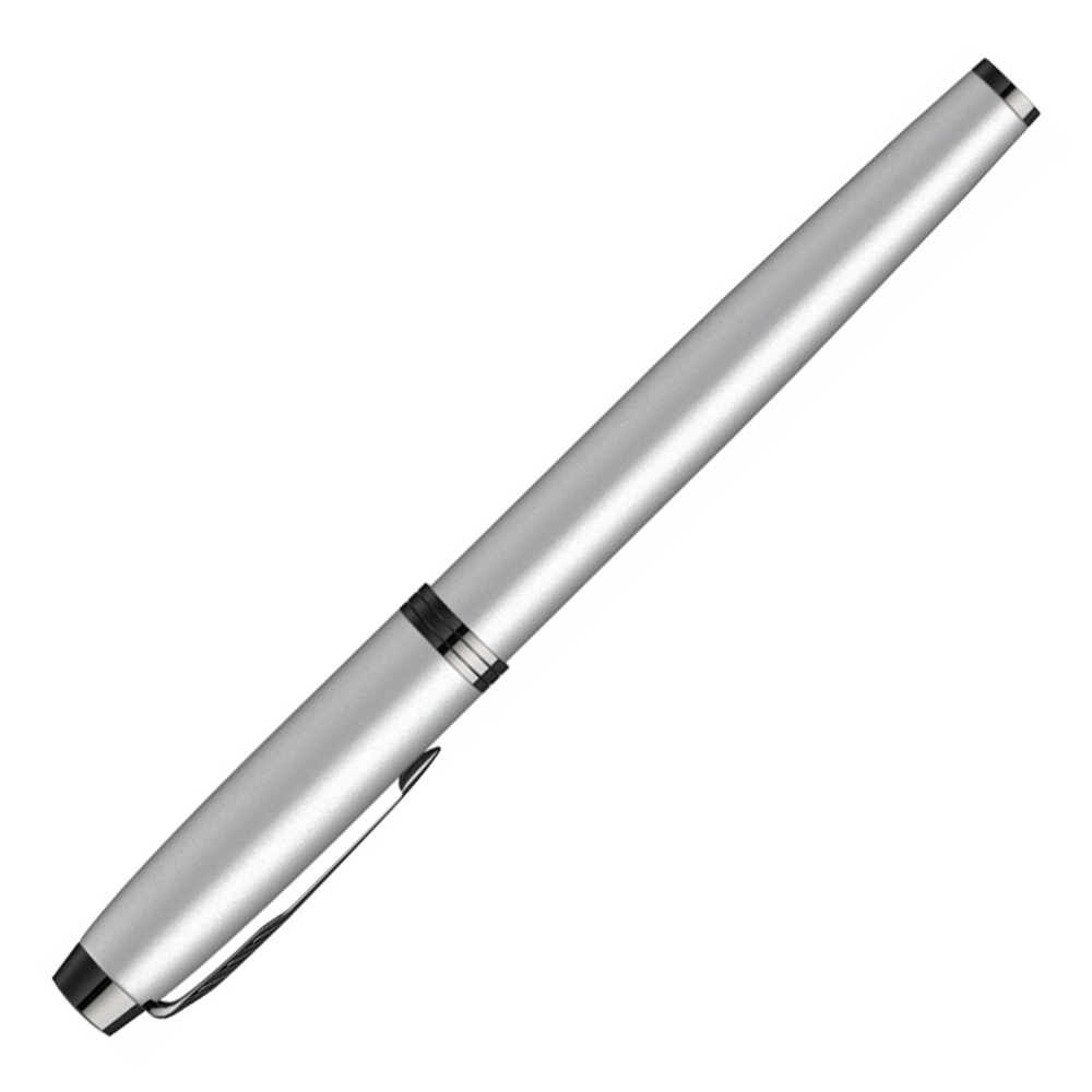 Ручка перьевая Parker IM F