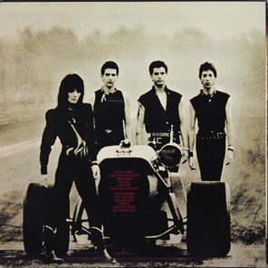 Joan Jett & The Blackhearts / Glorious Results Of A Misspent Youth (LP)