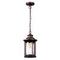 Уличный подвесной светильник Odeon Light Nature Mavret 4961/1