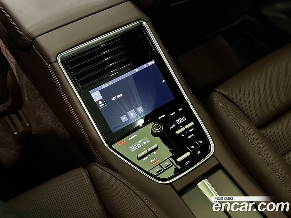 Porsche Panamera (971) 2.9 AWD Platinum Editions (05.2022)