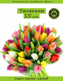 Тюльпан Луковица, Микс сортов, 15 шт