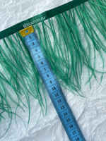 Перо зеленое