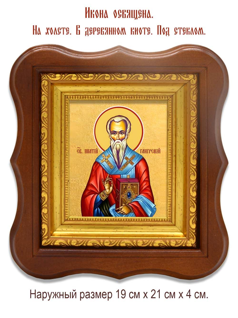 Ипатий епископ Гангрский чудотворец. Икона на холсте.