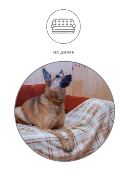 Плед для животных