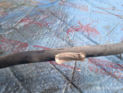 Стабилизатор передний Шкода Октавия А5 1.4 BUD Б/У