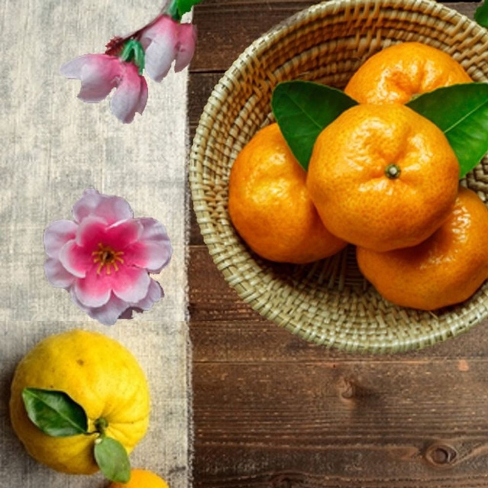 Юзу и сацума (Yuzu &amp; Satsuma)