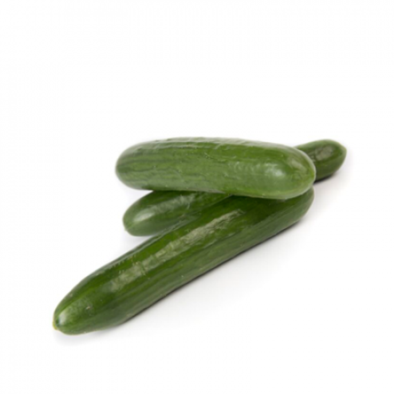 МЕРТУС F1 семена огурца Rijk Zwaan купить – фото 2