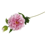 Цветок искусственный «Natur» 68см Пион пыльно-розовый
