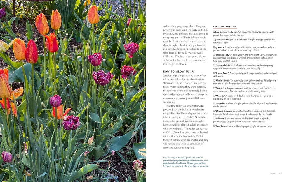 Life with Flowers: Inspiration and Lessons from the Garden