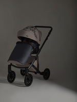 Детская коляска Anex e/type 2 в 1 eden