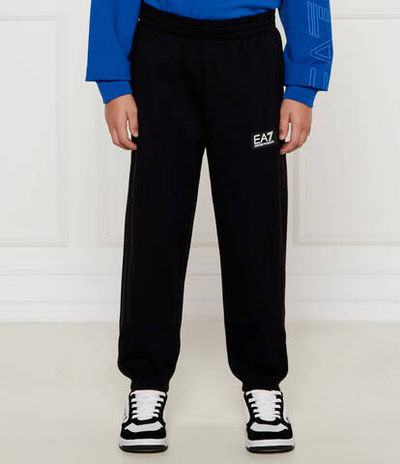 Спортивные штаны EA7 - черный(6DBP59 BJ05Z)