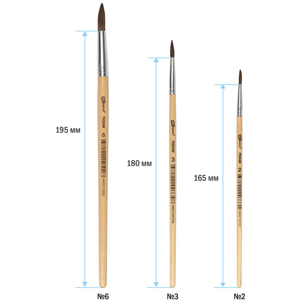 Набор кистей пони, 3шт (2 4 6), в блистере, Спейс