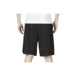 Шорты Jordan Logo, DZ4123-010