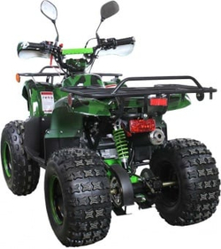 Квадроцикл AVANTIS Hunter 8M+ 125 2018