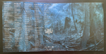 Dark Funeral ‎– Where Shadows Forever Reign (Германия 2016г.)